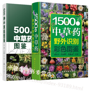 �Ї����ꃺͯ�����濂�� ����ͯ�ČW(xu��)�����҅R���������L.��3݋ ���^�B�w�^��ҹ��(������1��)