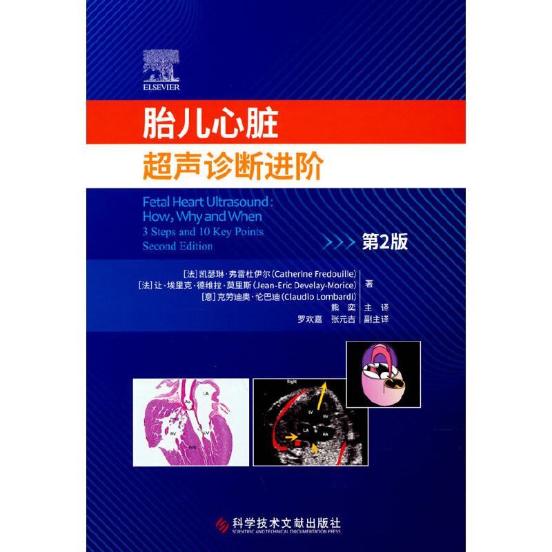 ̥�����K���\���M(j��n)�A����2�棩