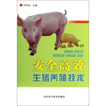 ��ȫ��Ч���i�B(y��ng)ֳ���g