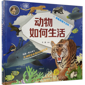 ��(d��ng)���������