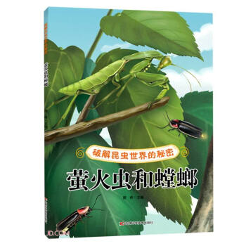 �ƽ����x��������ܡ���Ξ���x�����