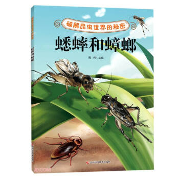 �ƽ����x(ch��ng)��������ܡ���������