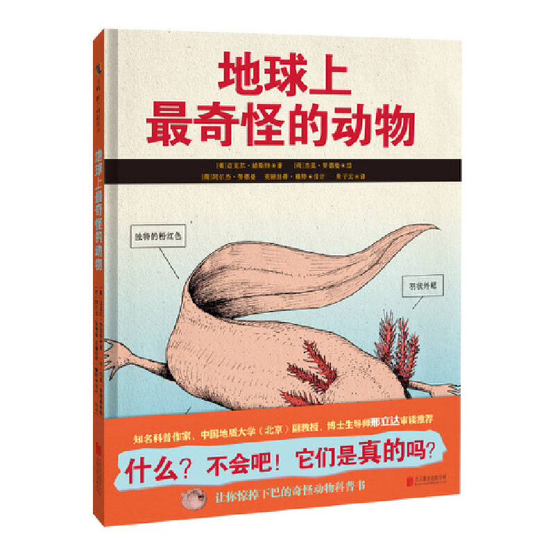 ����������ֵĄ���