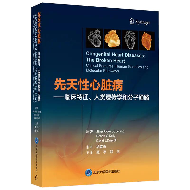 ���������K�������R������������z���W(xu��)�ͷ���ͨ·