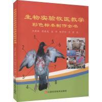 ���(sh��)�(y��n)?z��i)��t(y��)�̌W(xu��)��ɫ��(bi��o)������ȫ��(sh��)