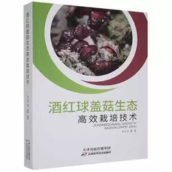 �Ƽt���w�����B(t��i)��Ч���༼�g(sh��)