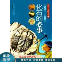 ��ʯ������