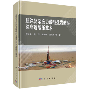 �����(f��)�s��(y��ng)��̼���}�r��(ch��)���͸�ቺ���g(sh��)