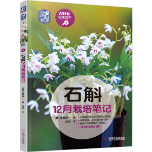 ʯ��12������Pӛ