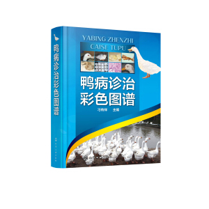 �����\�β�ɫ�D�V