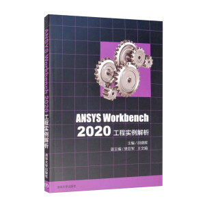 ANSYS Workbench 2020���̌�(sh��)������