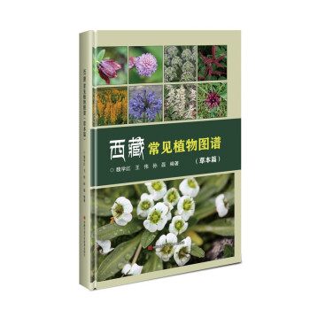 ���س�Ҋ(ji��n)ֲ��D�V ���ݱ�ƪ��