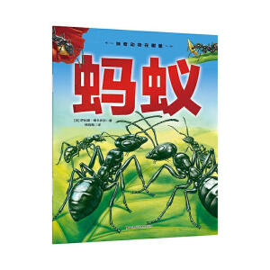 �����(d��ng)��������-Λρ