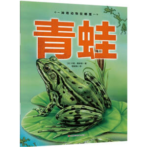 �������������-����