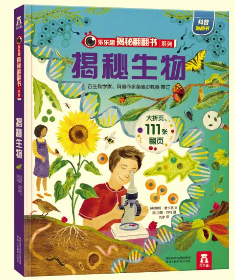 ����Ȥ���ط�����ϵ�е���݋ ��������