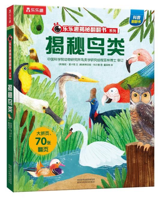 ����Ȥ���ط�����ϵ�е���݋ �����B�