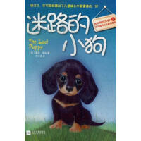 ��·��С��