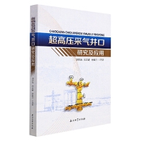 ���߉��ɚ⾮���о�����(y��ng)��