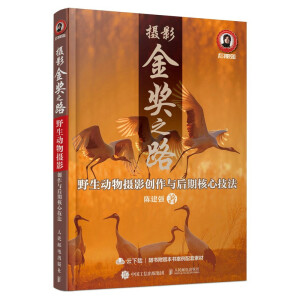 �zӰ��(ji��ng)֮· Ұ����(d��ng)��zӰ��(chu��ng)���c���ں��ļ���