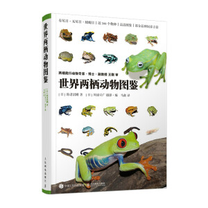 ����ɗ�����D�b