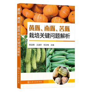 �S�����Ϲ�����������P(gu��n)�I��(w��n)�}����