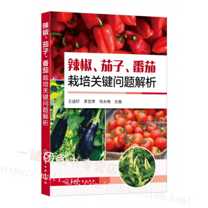 ���������ӡ����������P(gu��n)�I��(w��n)�}����