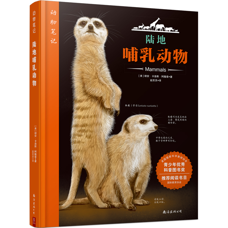 ����Pӛ��ꑵز������