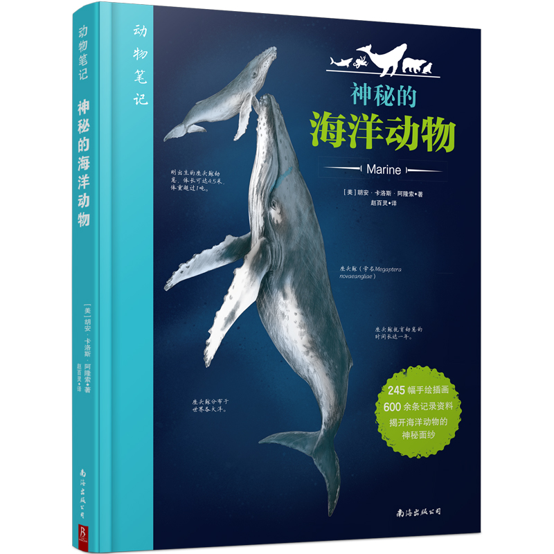 ����Pӛ�����صĺ������