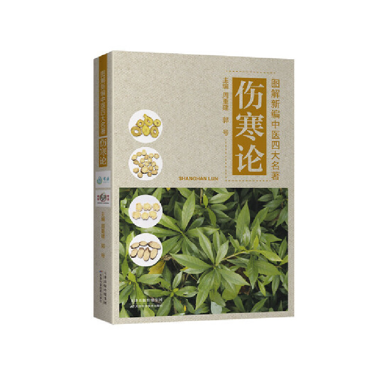 �D���¾����t(y��)�Ĵ�������������Փ