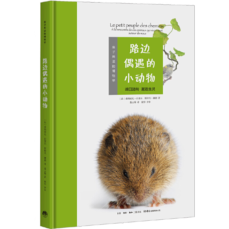 ·߅ż����С����