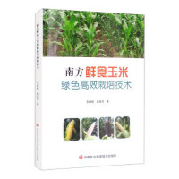 �Ϸ��rʳ���׾Gɫ��Ч���༼�g