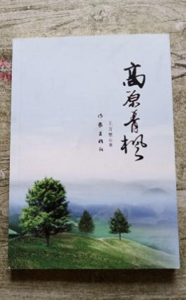 ��ԭ����