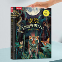 ҹ������������ʲô