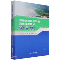 ���̼���}�r��ظ�Ч�_�l(f��)���g(sh��)Փ�ļ�