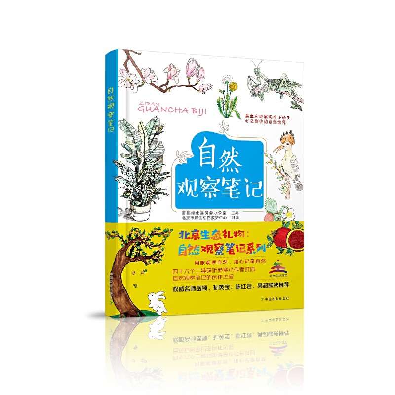 ��Ȼ�^��Pӛ