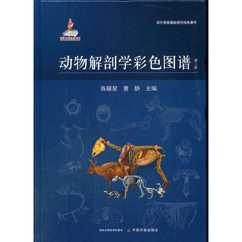 ��(d��ng)����ʌW(xu��)��ɫ�D�V����2�棩