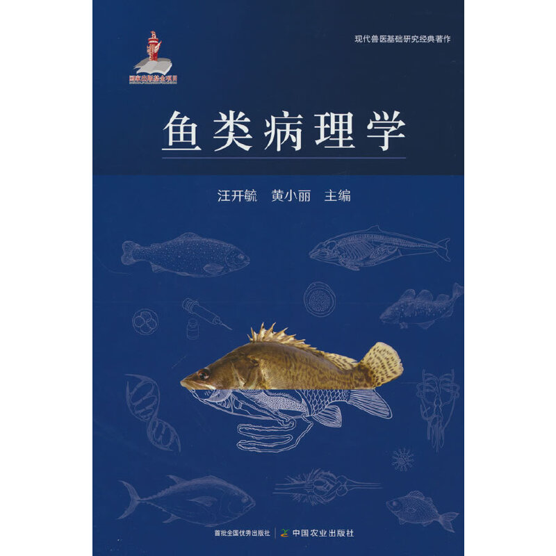 �~���W(xu��)