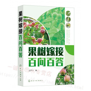 ����޽Ӱن��ٴ�