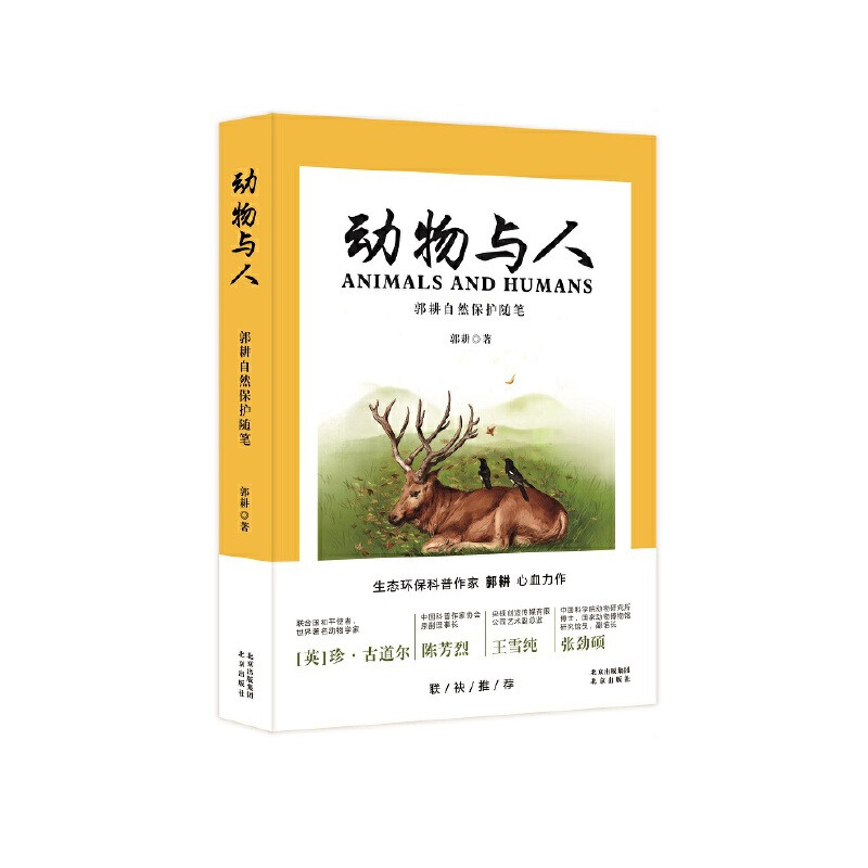 �����c�� ������Ȼ���o�S�P