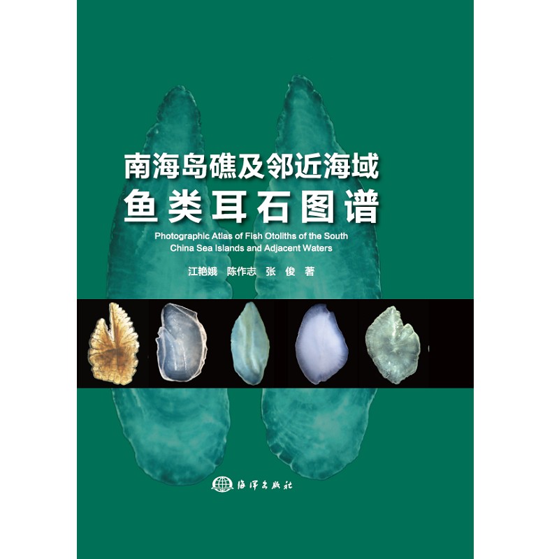 �Ϻ��u�������������~�ʯ�D�V