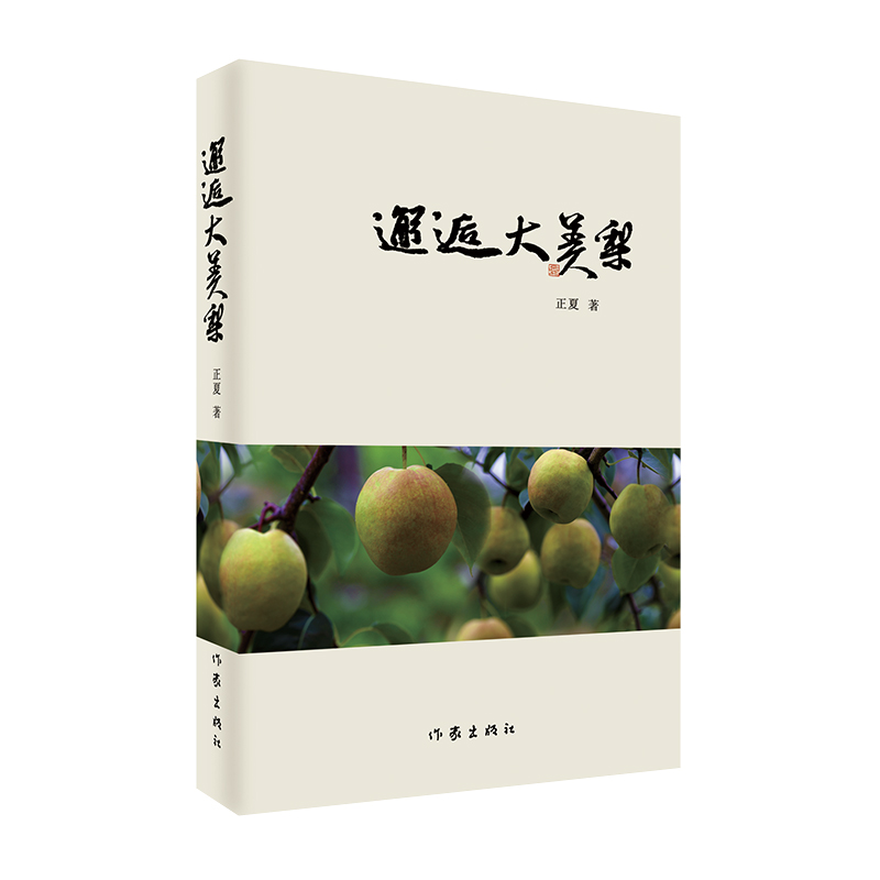 ���˴�����