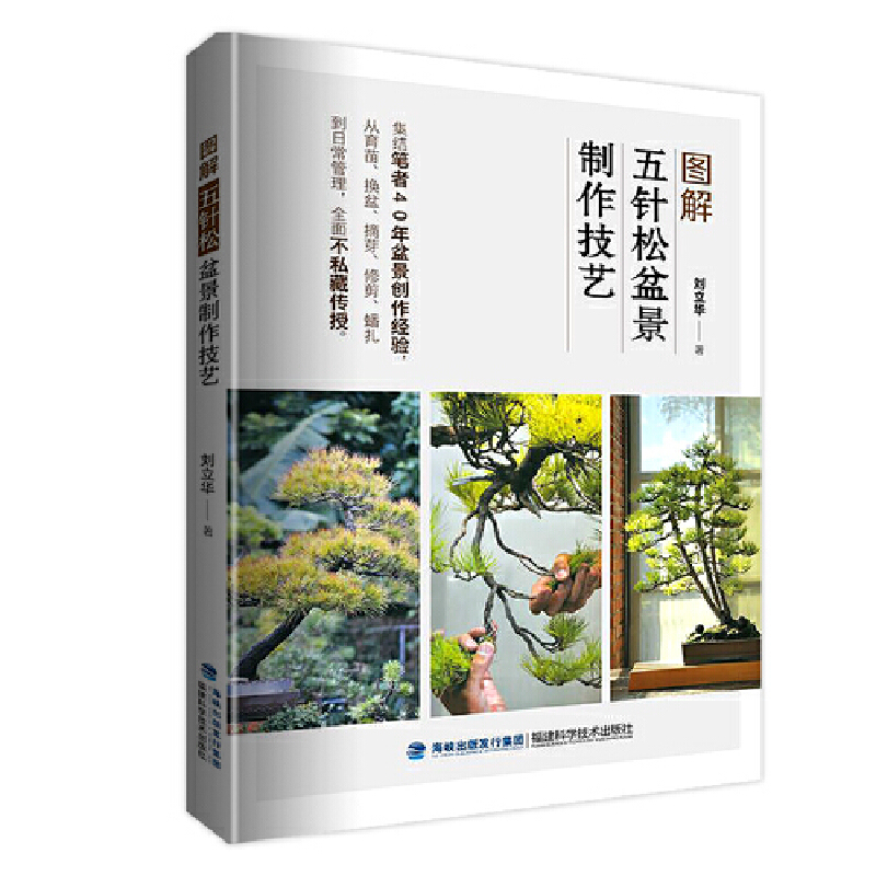 �D��������辰������ˇ