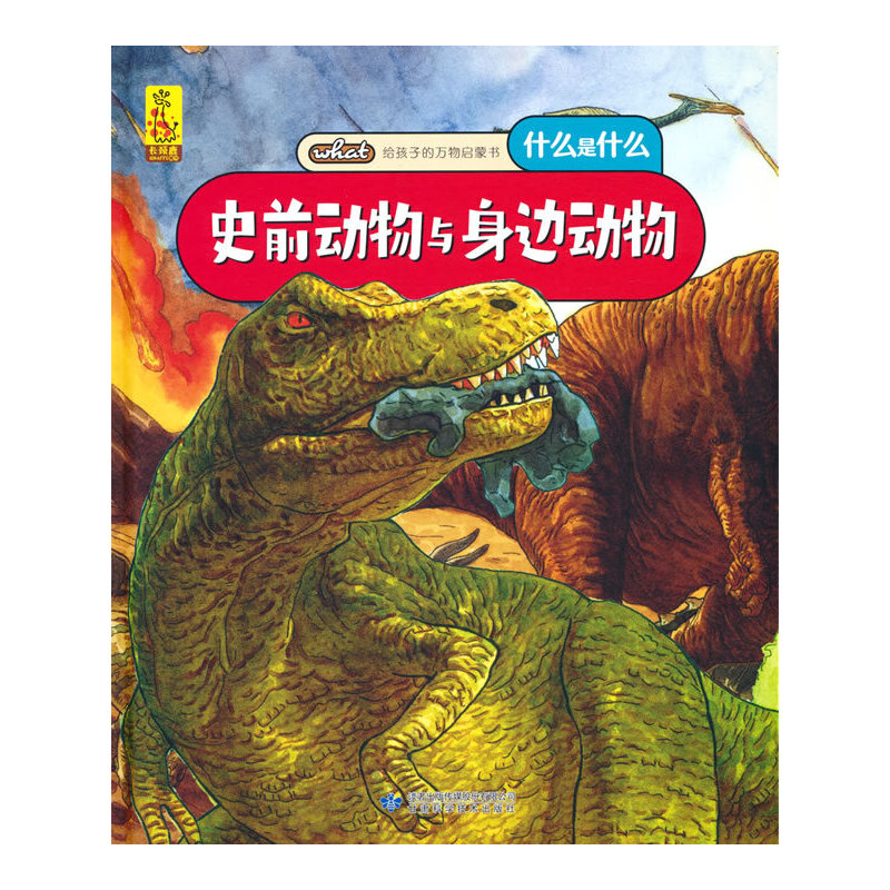 �o���ӵ��f(w��n)��ɕ�(sh��)��ʷǰ��(d��ng)���c��߅��(d��ng)��