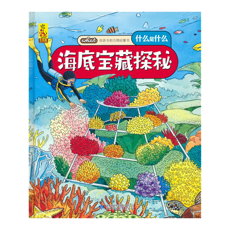 �o���ӵ��f��ɕ������׌���̽��