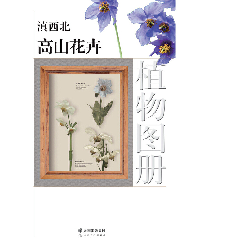 ��������ɽ����ֲ��D��