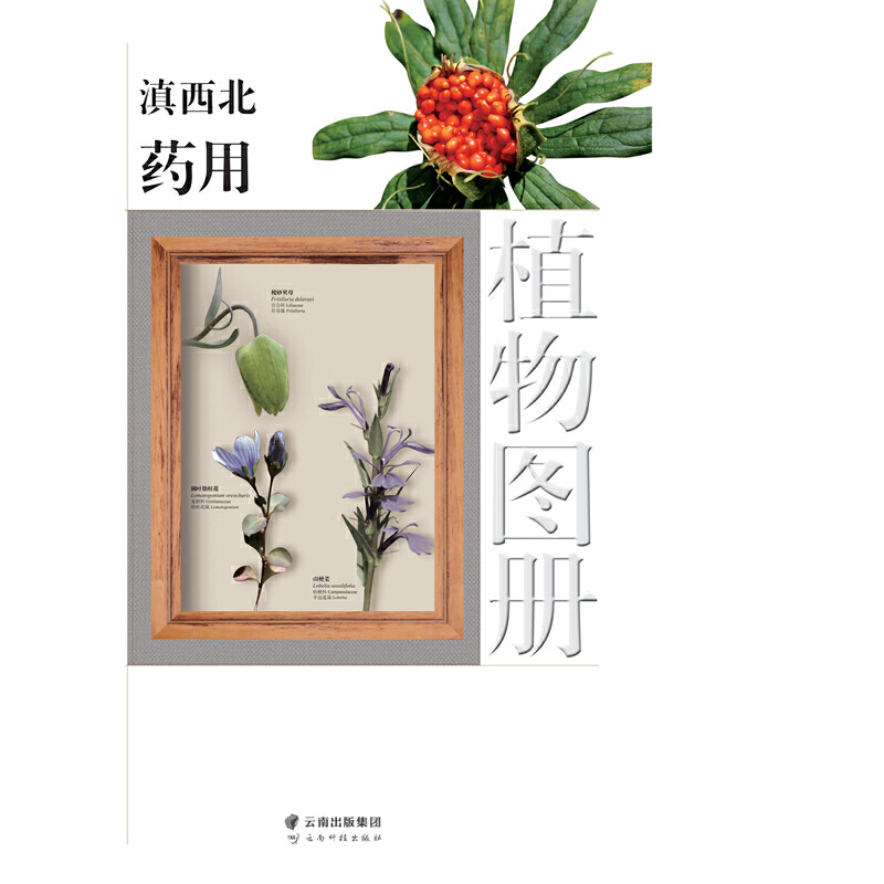 ������ˎ��ֲ��D��