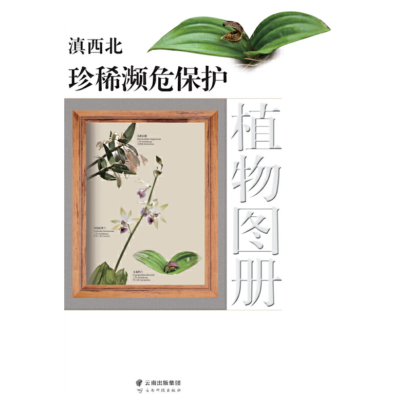 ��������ϡ�lΣ���o(h��)ֲ��D��(c��)