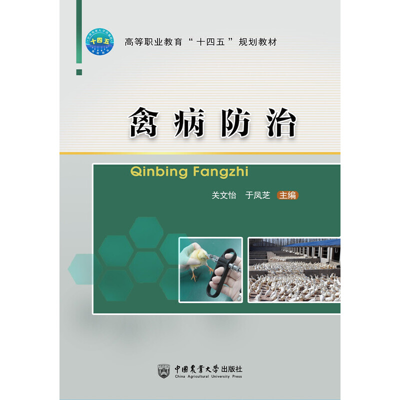 �ݲ�����