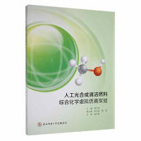 �˹���ϳ��坍ȼ�ϾC�ϻ��W(xu��)̓�M���挍�