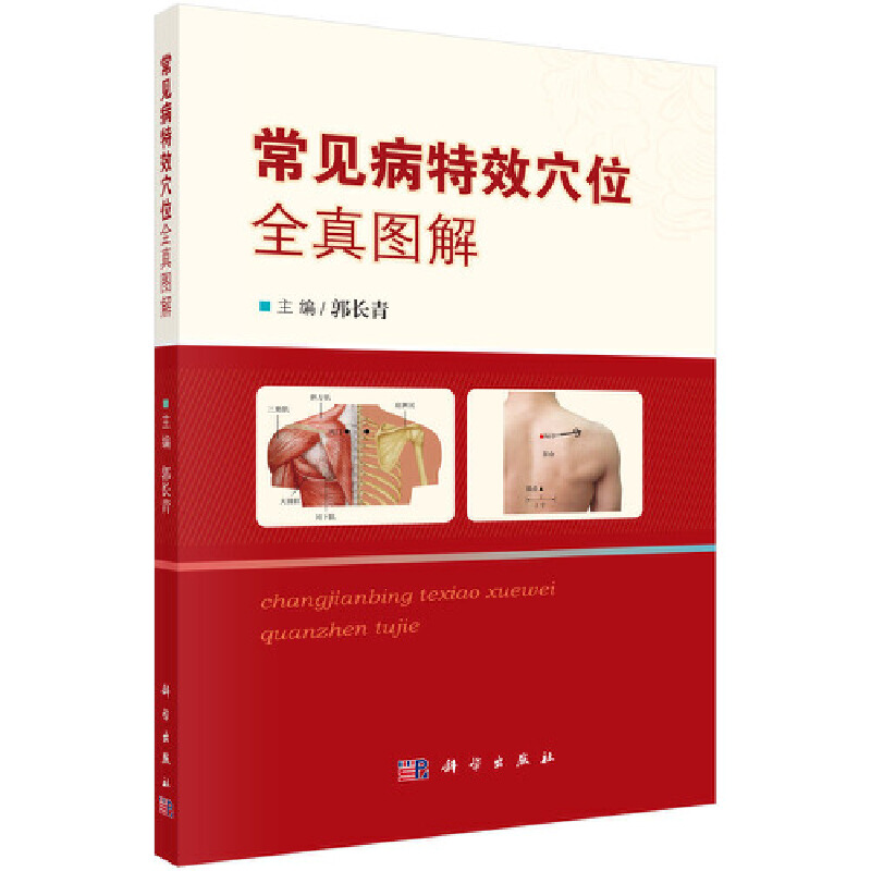 ��Ҋ����ЧѨλȫ��D��